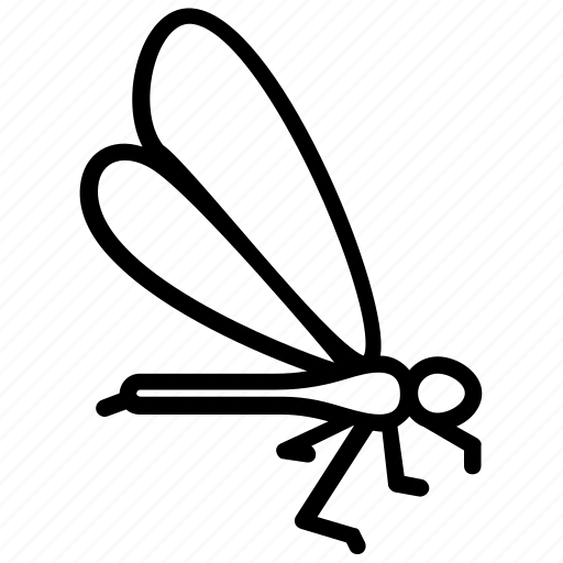 Crane Fly Png Isolated File (black)