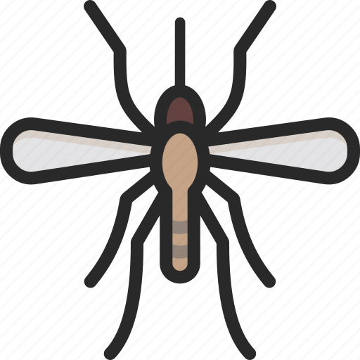 Crane Fly Png Isolated Photo (black, lavender, white, gray)