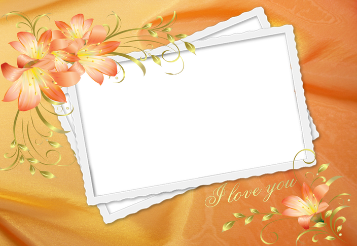 Orange Frame Png High Quality Image (black, lavender, white)