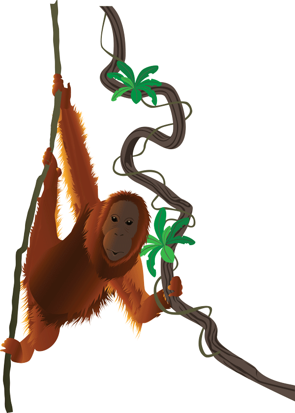 Orangutan Png File (maroon, black)