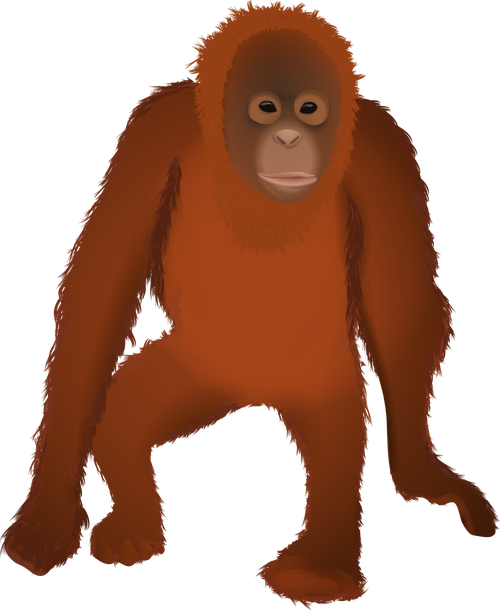 Orangutan Png Isolated File (maroon, chocolate, black)