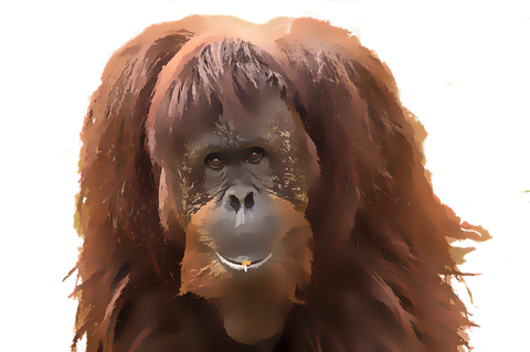 Orangutan Png Isolated Hd (olive, black)