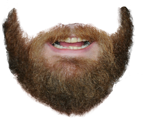 Transparent Beard Png (black, white, gray, silver)