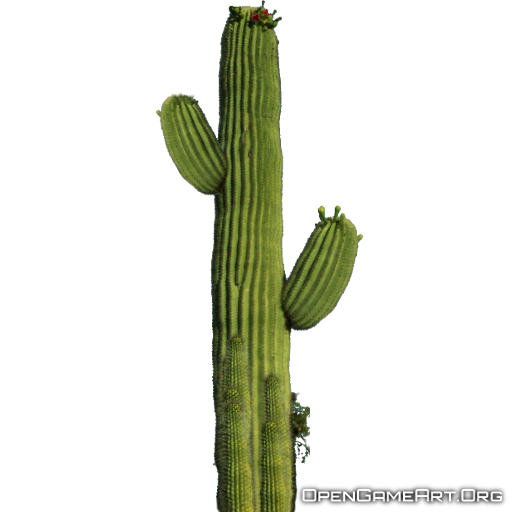 Transparent Cactus Plant Png (black, gray)