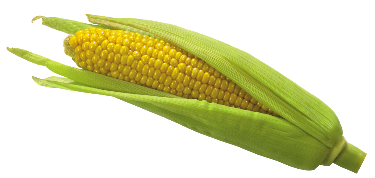 Transparent Corn Png (black, olive)