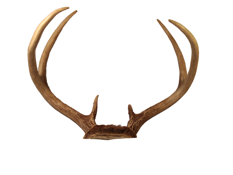 Transparent Deer Antlers Png (black)