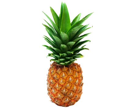 Transparent Pineapple Png (white)