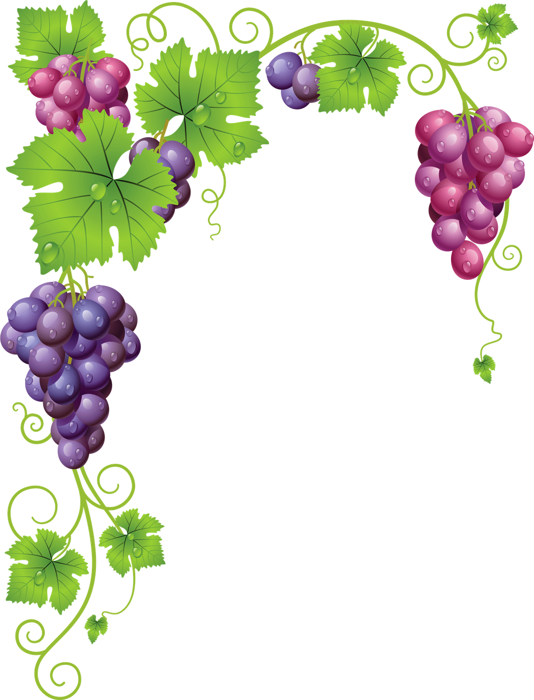 Grape Vine Leaf Png Photos (olive, black)