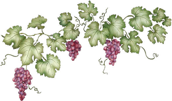 Grape Vine Leaf Transparent Background (gray)