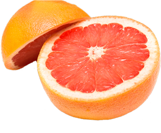 Grapefruit Png Clipart (beige, black, salmon)