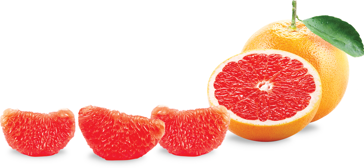 Grapefruit Png Photos (black, red, chocolate, gray)