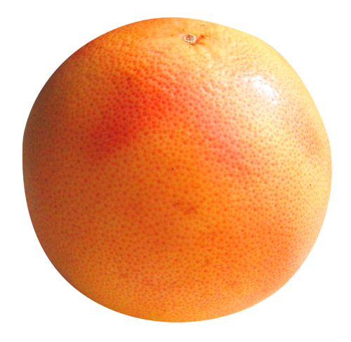 Grapefruit Png Pic (black, maroon, chocolate, pink)