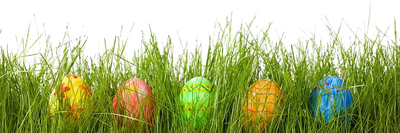 Grass Easter Egg Png Hd (black)