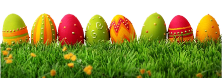 Grass Easter Egg Png Image (black, olive, green)