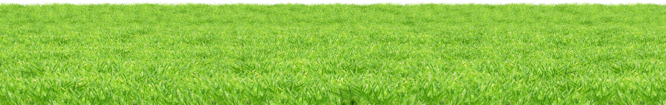 Grass Field Png File (olive)