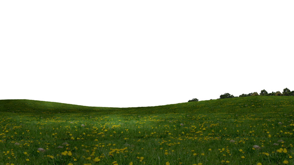 Grass Field Png Free Download (black, green)