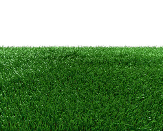 Grass Field Png Picture (black, green)