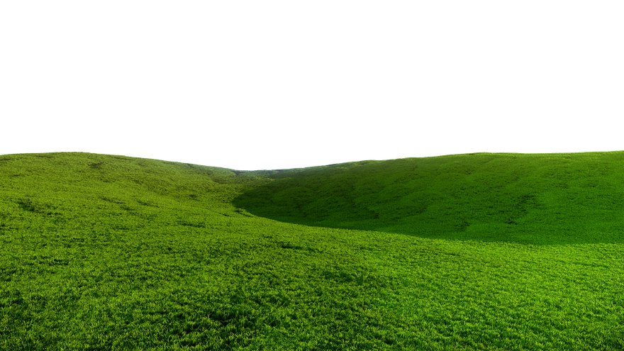 Grass Field Png (black, green, olive)