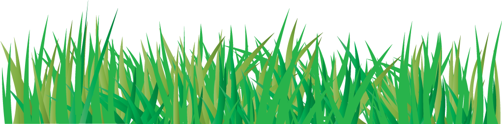 Grass Vector Transparent Png (teal, black)