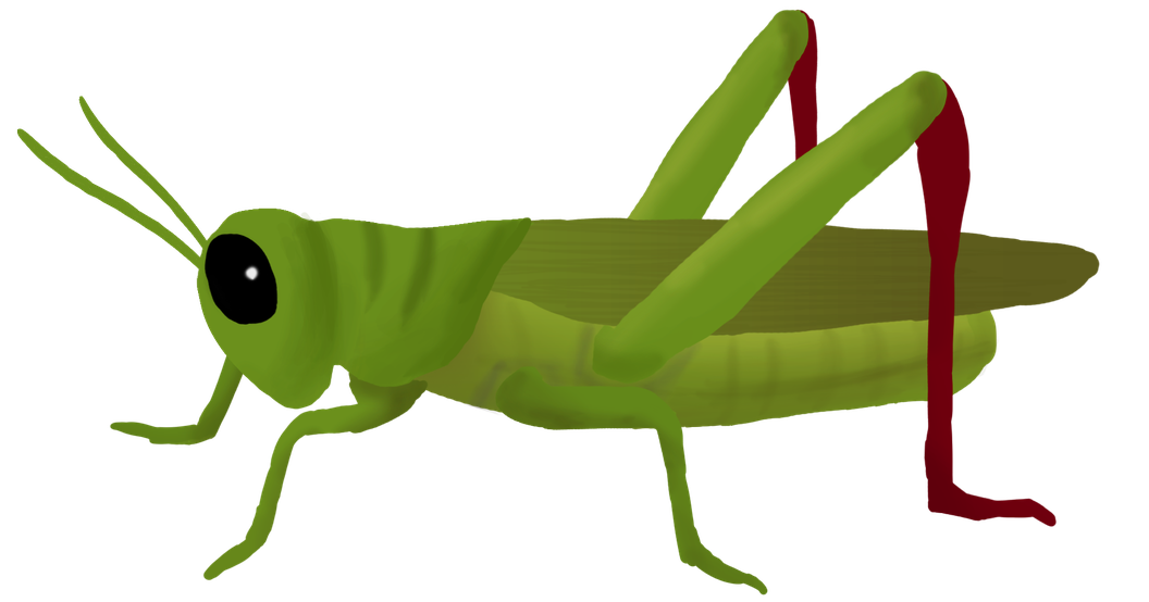 Grasshopper Png Clipart (black, maroon, olive)