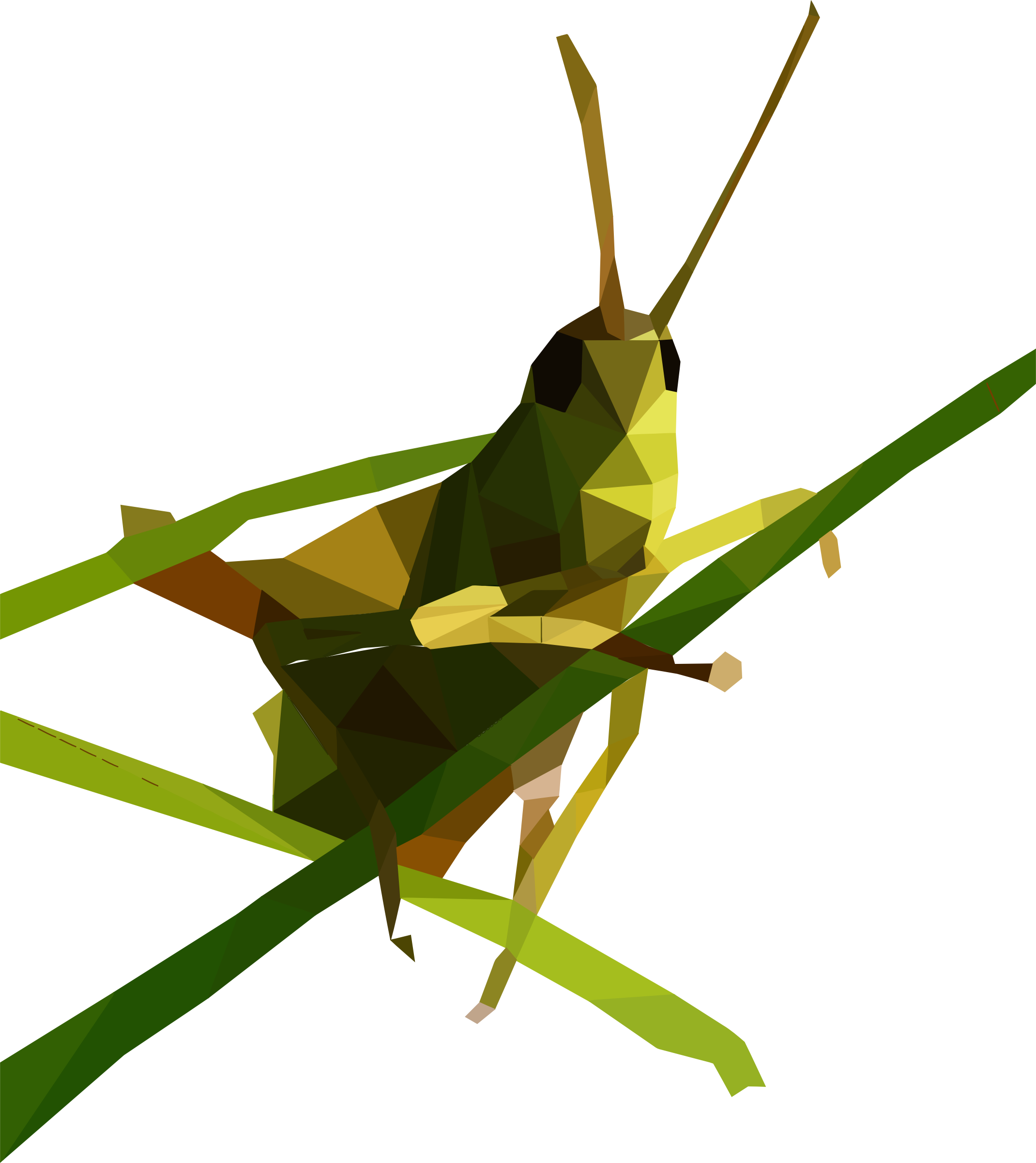 Grasshopper Png Free Download (black, olive, green)