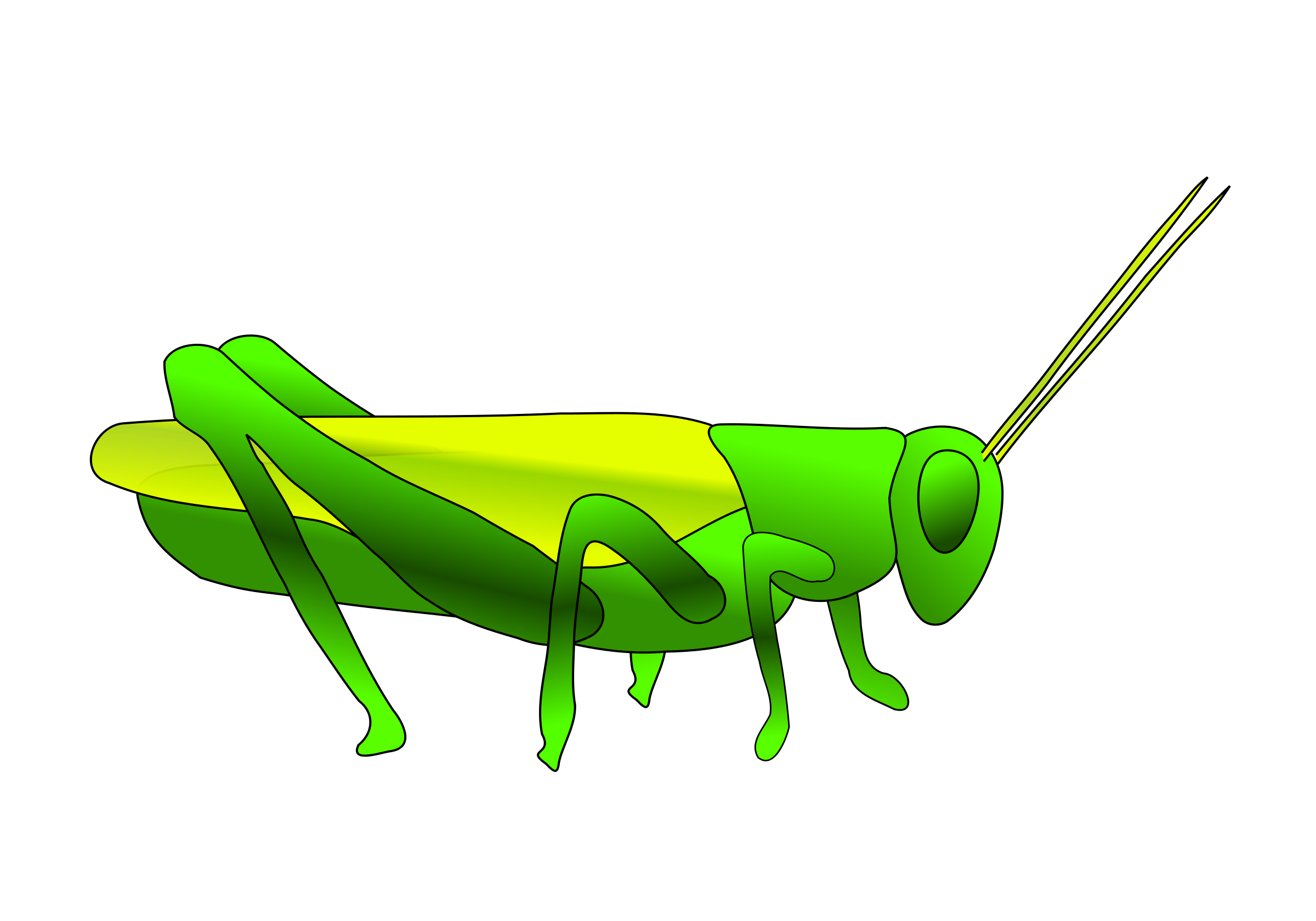 Grasshopper Png Hd (black, lime, yellow, green)