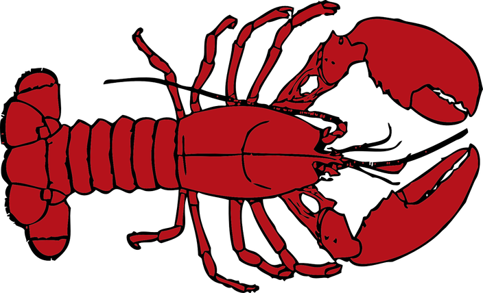 Crawfish Vector Png Picture (black, maroon)