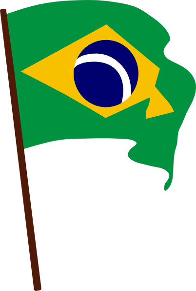 Brazil Flag Png (gold, green, navy, white)