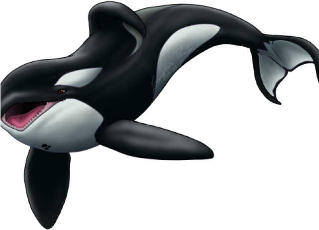 Orca Png Isolated File (black)