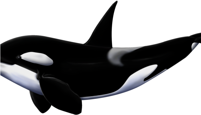 Orca Png Isolated Pic (black)