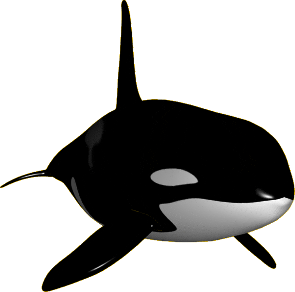 Orca Png Pic (gray, black)