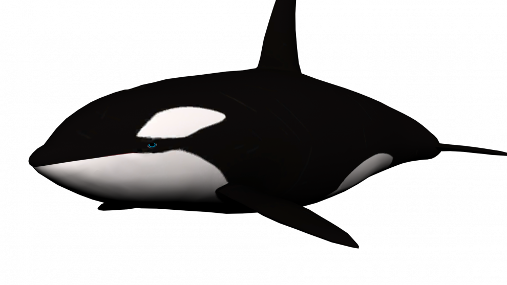 Orca Png Picture (black)