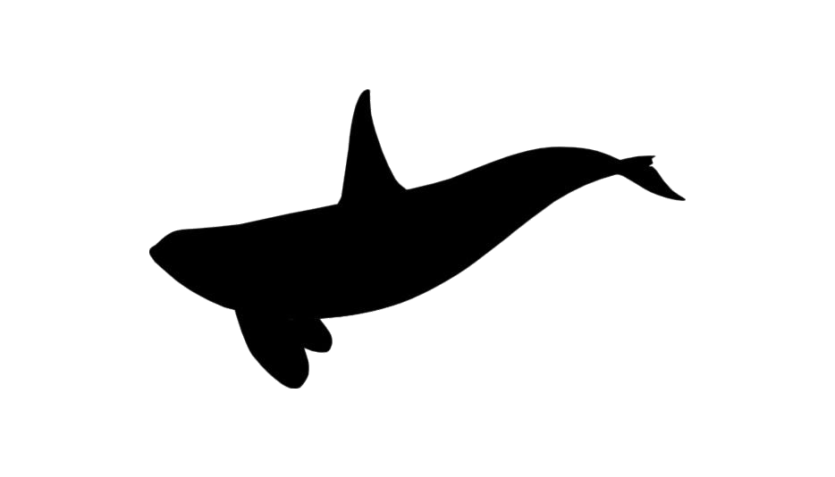 Orca Png Transparent (white, gray, black)