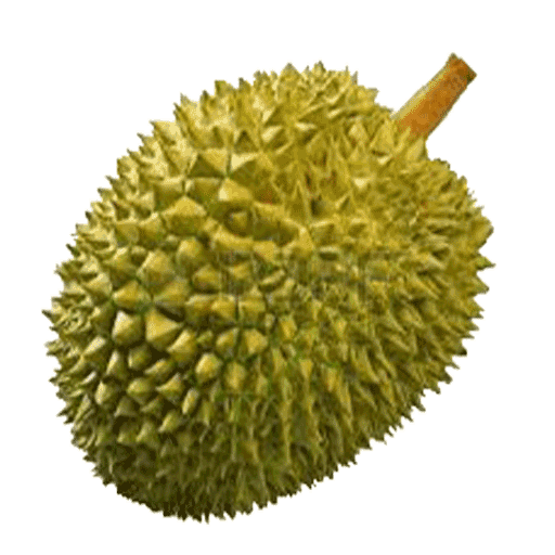 Breadfruit Download Png Image (gray)