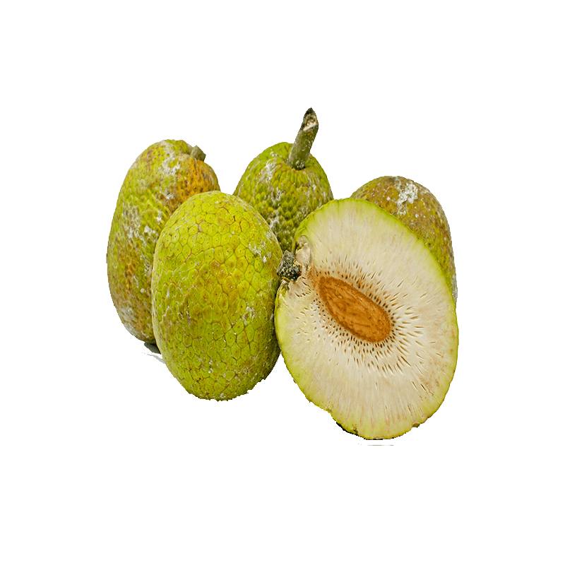 Breadfruit Png Image (gray)