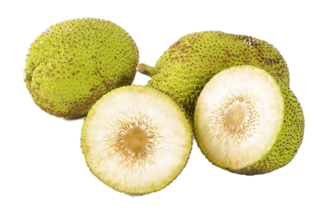 Breadfruit Png Isolated File (beige, gray)