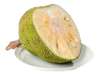 Breadfruit Png Isolated Image (beige, black)