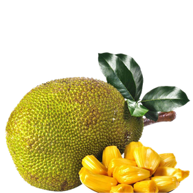 Breadfruit Png Isolated Photo (black)