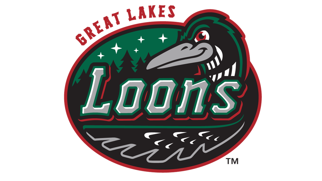 Great Lakes Loons Png File (teal, black)