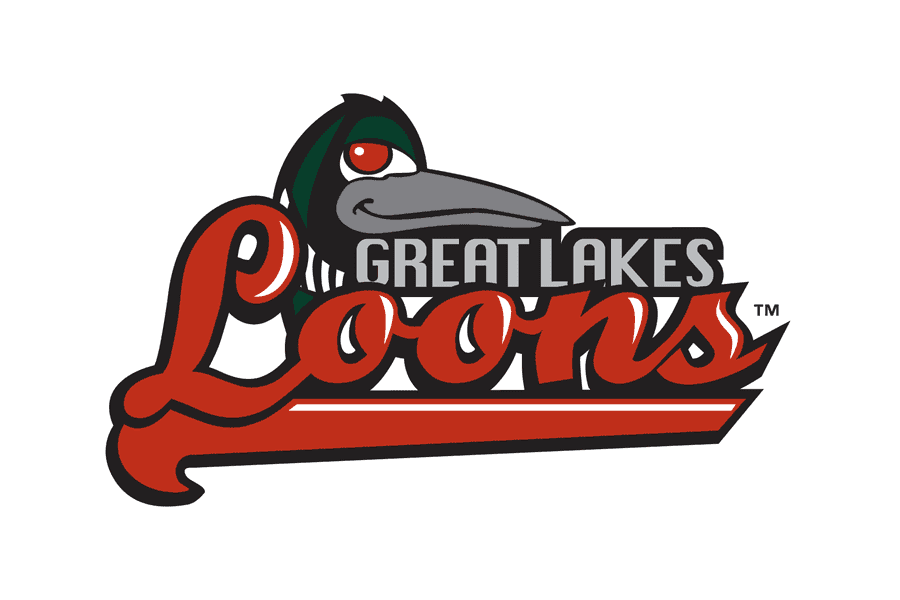 Great Lakes Loons Png Hd (salmon, chocolate, gray, white)