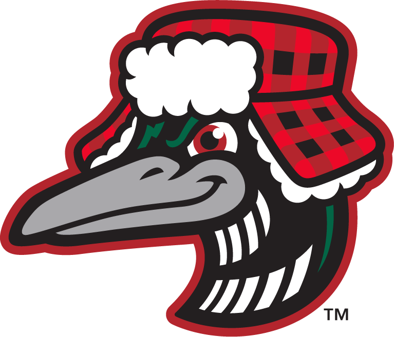 Great Lakes Loons Png Pic (black, silver, lavender, white)