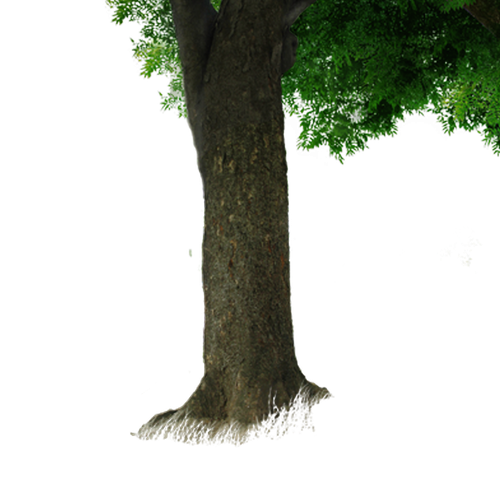 Tree Trunk Download Png Image (black)