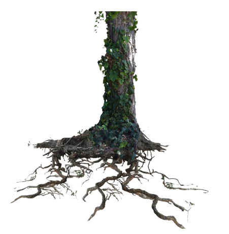 Tree Trunk Png Clipart (black)