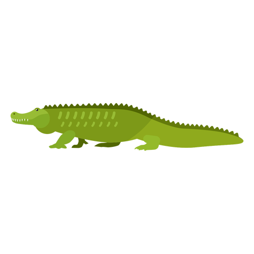 Green Alligator Png Hd Isolated (black, olive)