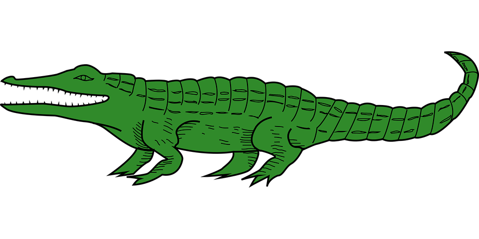 Green Alligator Png Transparent (black, green)