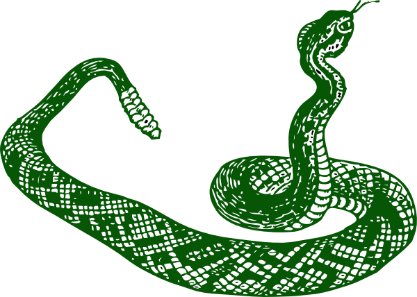 Green Anaconda Transparent Png (white, green)