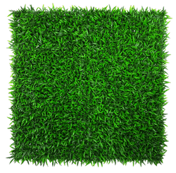 Green Artificial Grass Png (green, black)