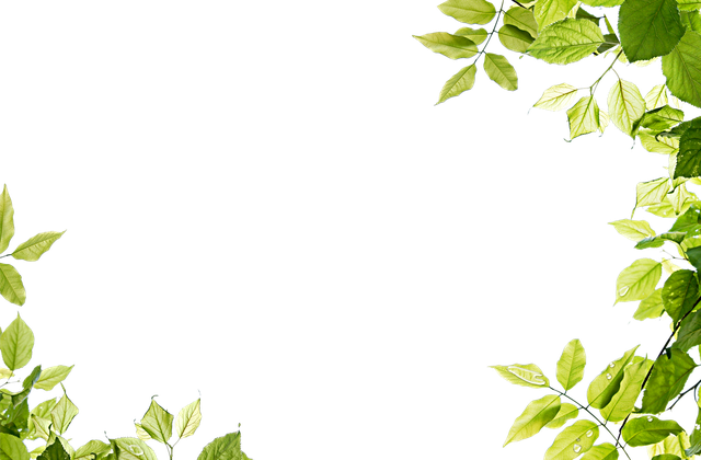 Green Background Png 1 (black, olive)