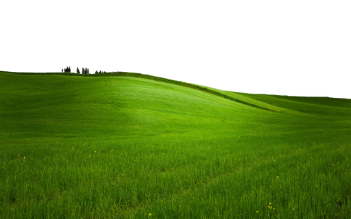 Green Background Transparent Png (black, green)