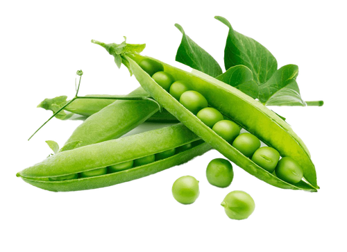 Green Beans Peas Transparent Png (black, gray, olive)